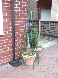 High Plant Support - Garden Obelisk - Powder Coated Green 1.84 metres